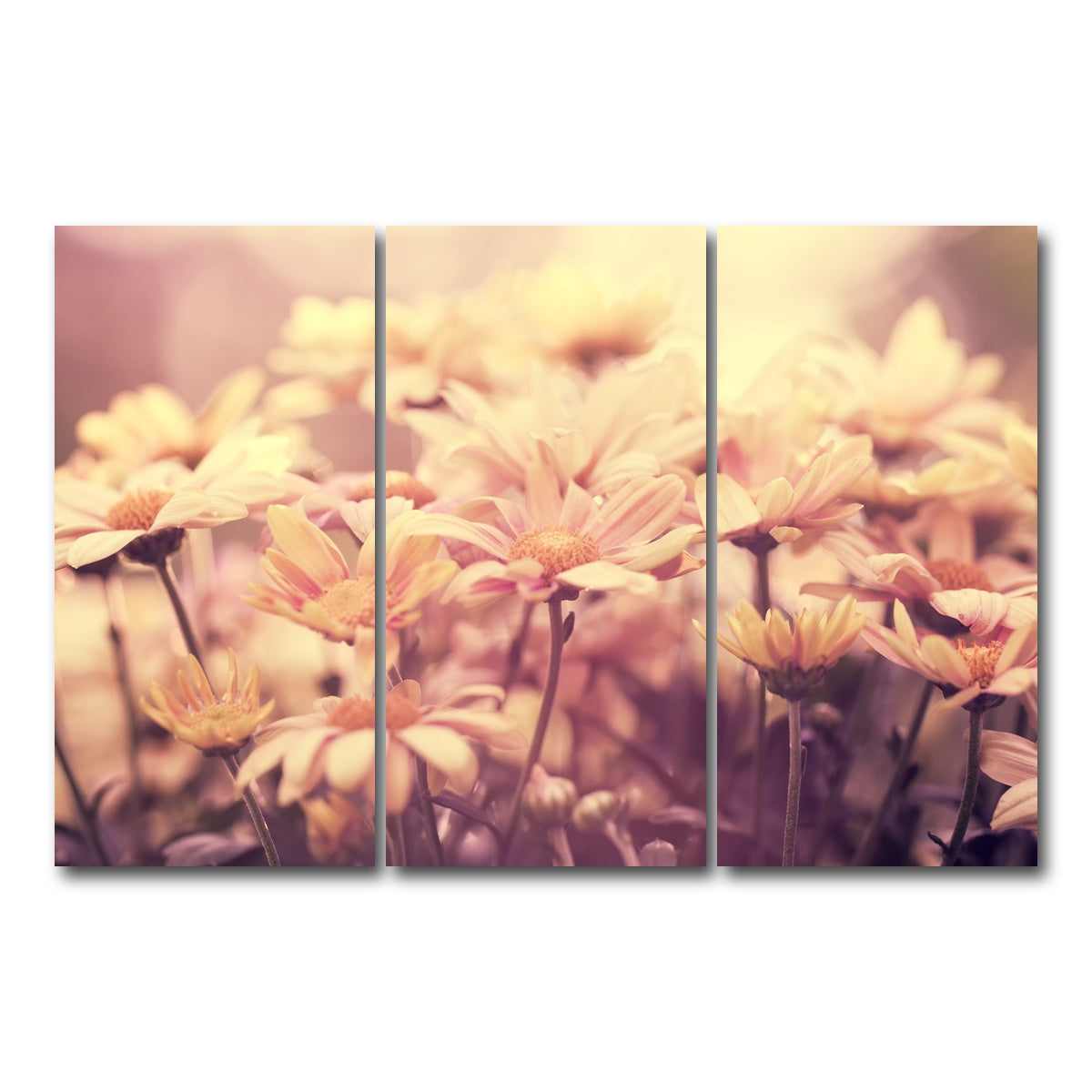 AUTO-MOCKUP WHITE | Flowers at Sunset | 3 Piece | Gallery Wrap Canvas | group=12x24