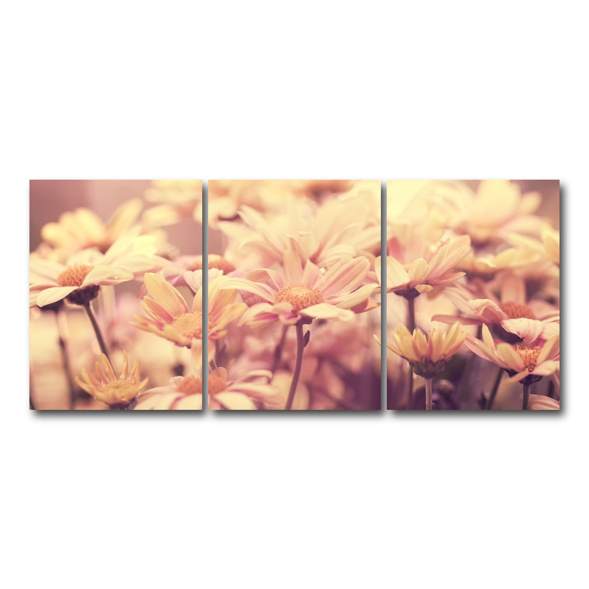 AUTO-MOCKUP WHITE | Flowers at Sunset | 3 Piece | Gallery Wrap Canvas | group=18x24