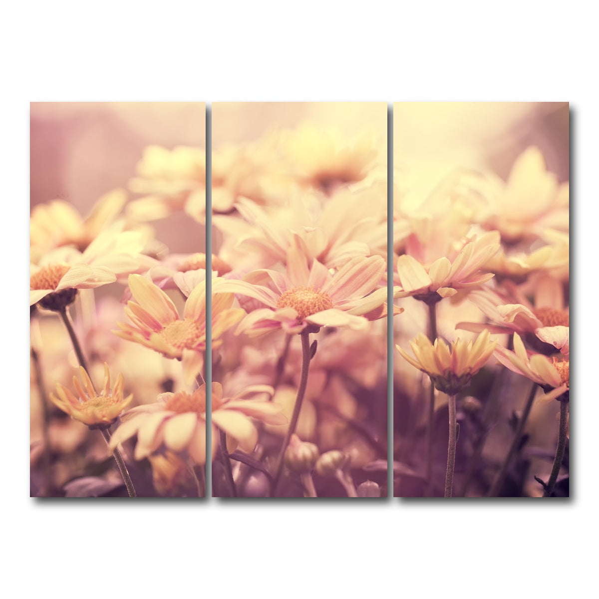 AUTO-MOCKUP WHITE | Flowers at Sunset | 3 Piece | Gallery Wrap Canvas | group=8x18