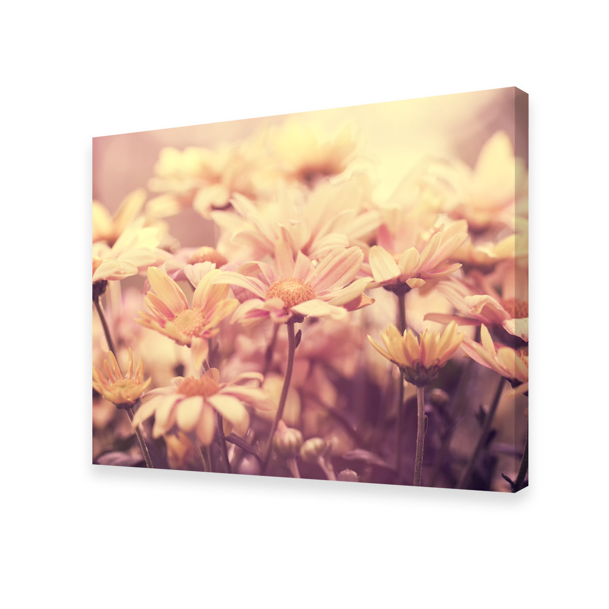 Flowers at Sunset Wall Art