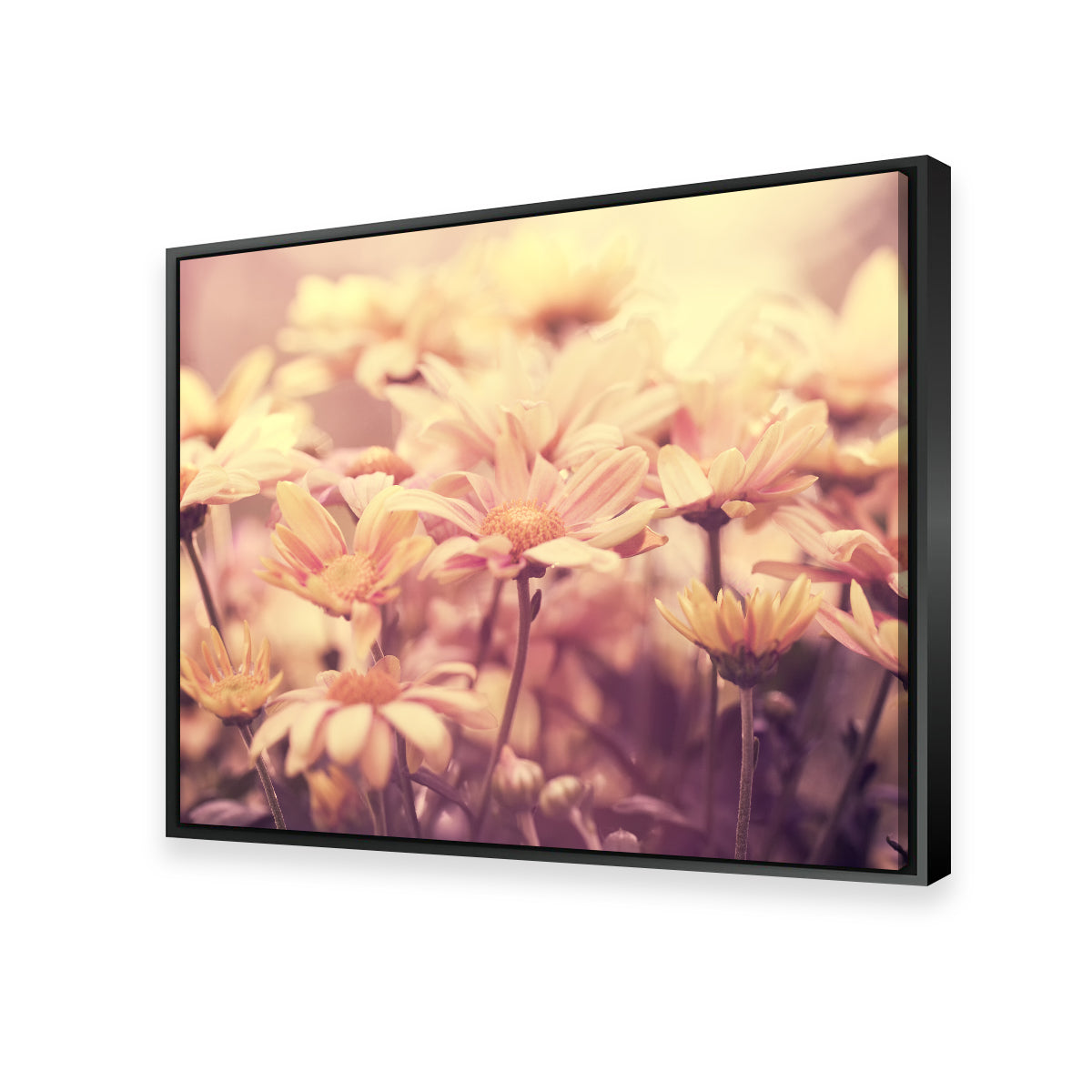 Flowers at Sunset Wall Art