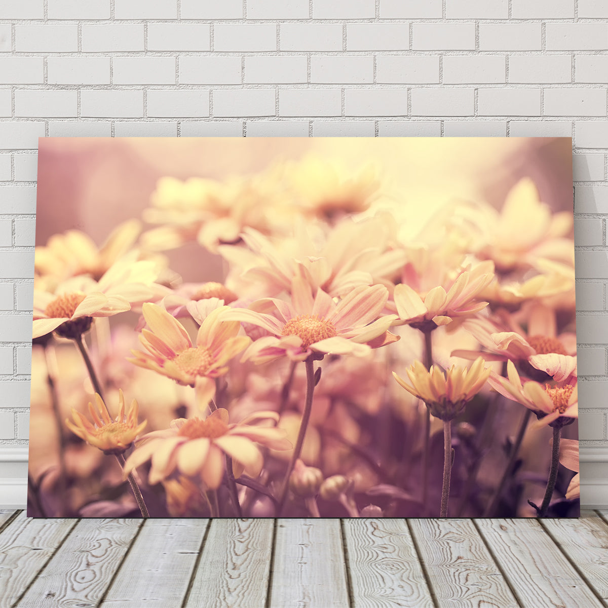 Flowers at Sunset Wall Art