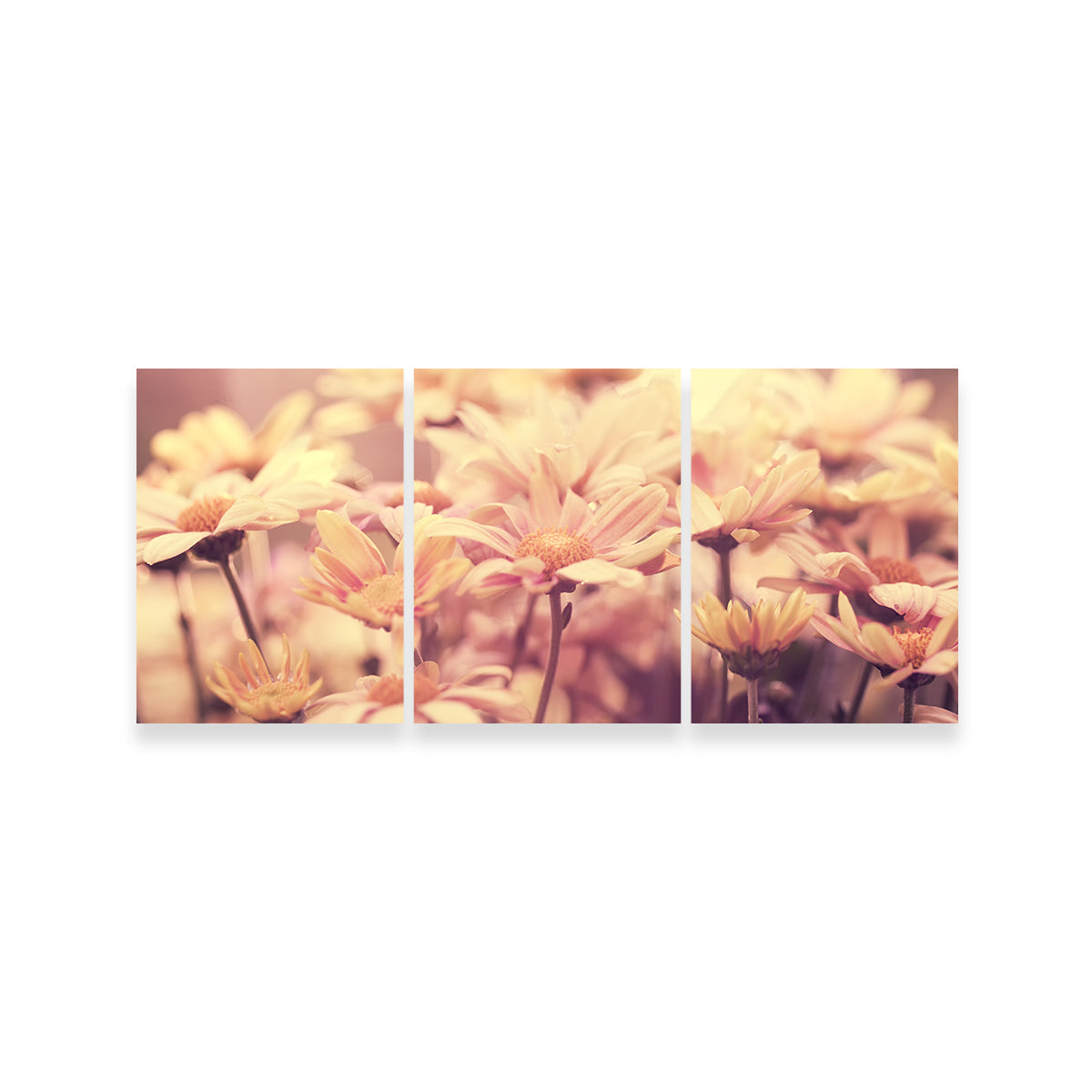 Flowers at Sunset Wall Art