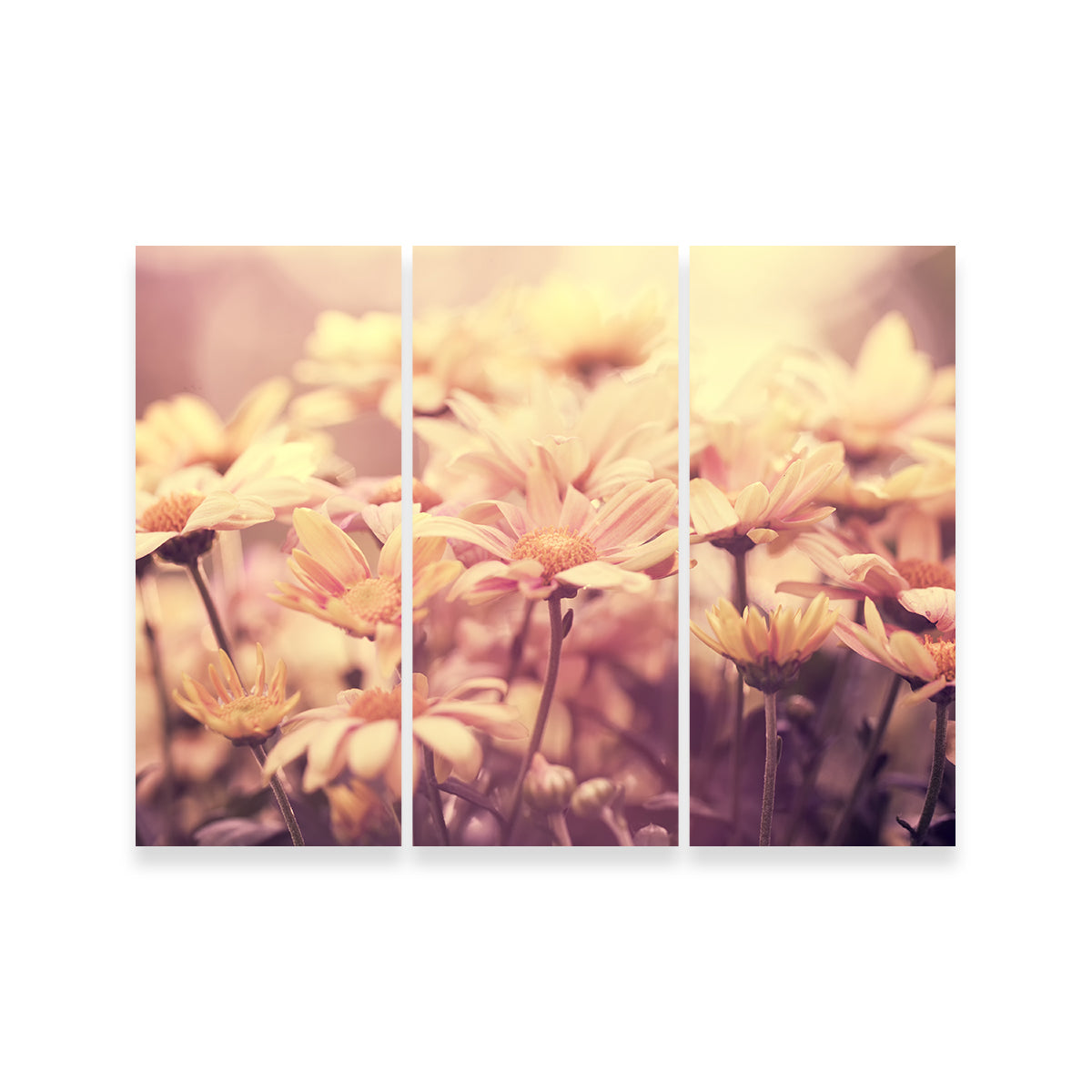 Flowers at Sunset Wall Art