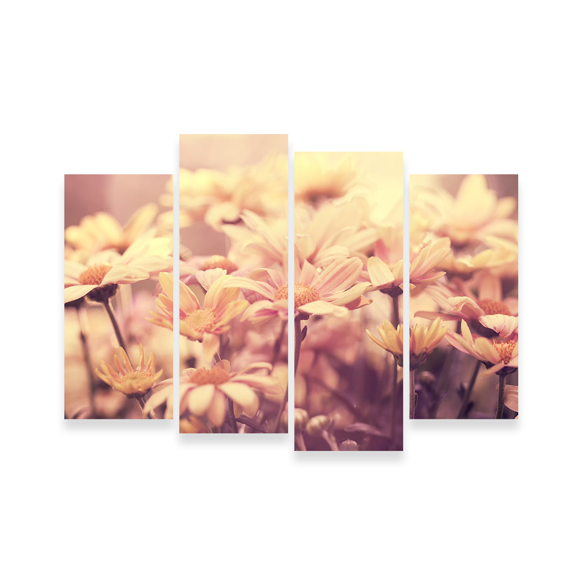 Flowers at Sunset Wall Art