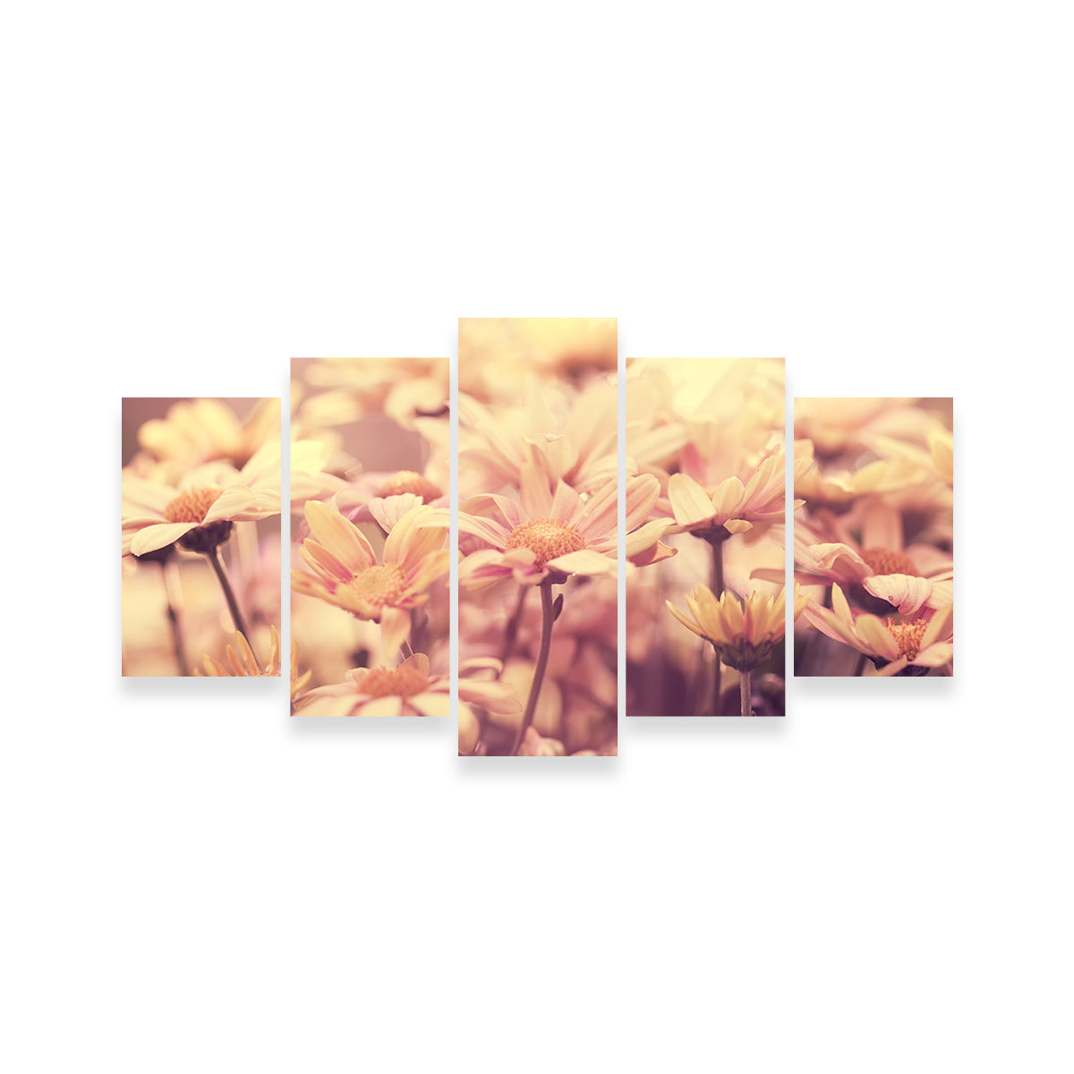 Flowers at Sunset Wall Art