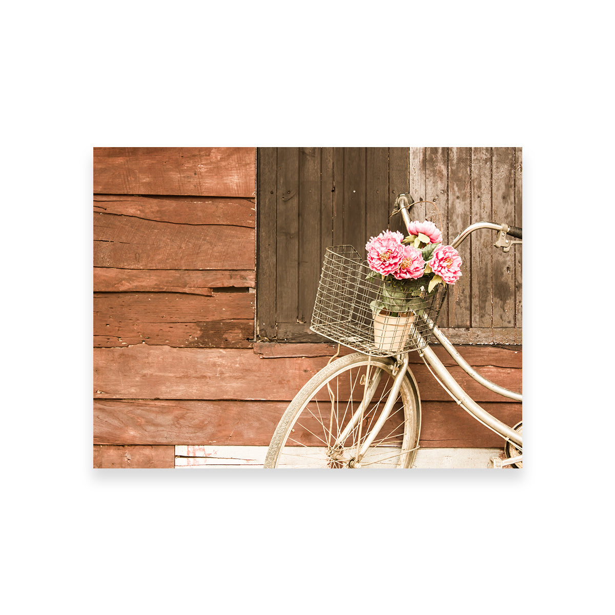 Flowers in a Bicycle Basket Wall Art