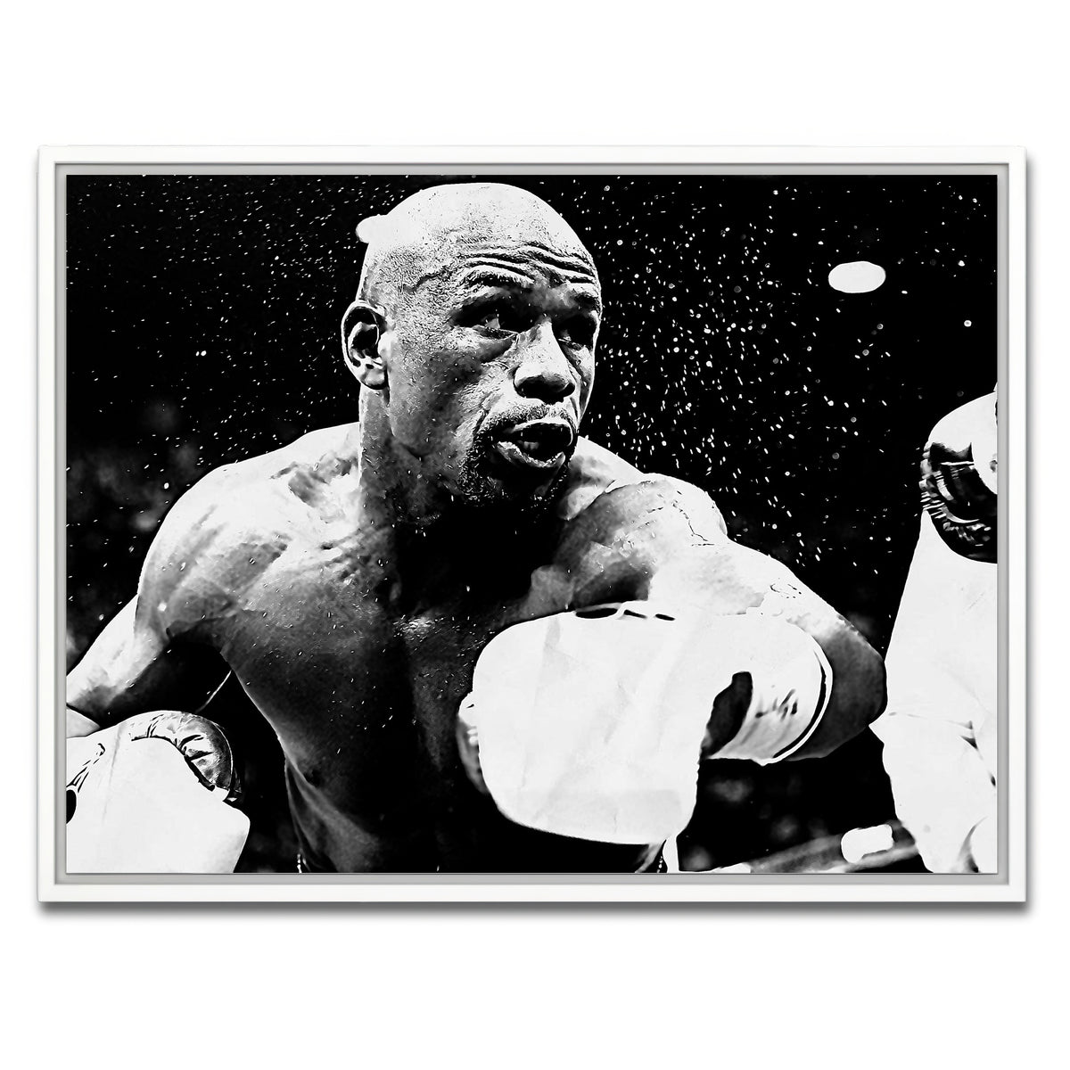 AUTO-MOCKUP WHITE | Floyd Mayweather Jr. Grayscale | 1 Piece | White Framed Canvas | group=4x3