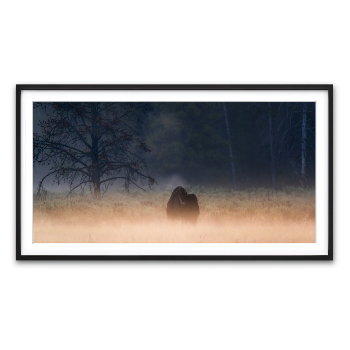 Framed Print 2x1 Black