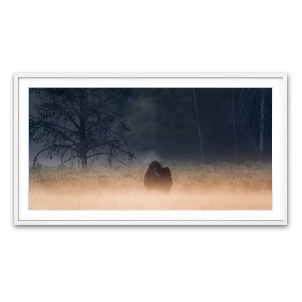 Framed Print 2x1 White