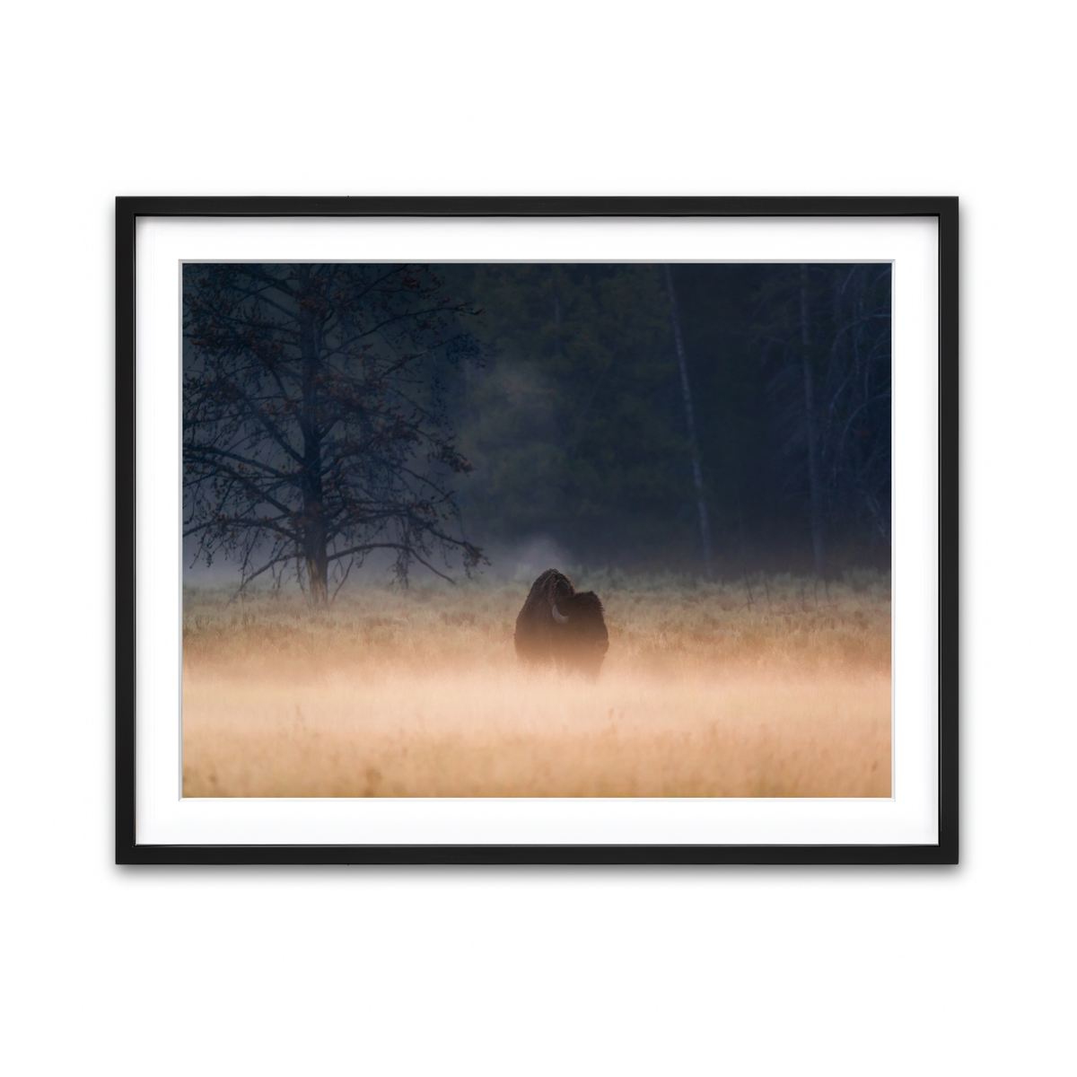 Framed Print 4x3 Black