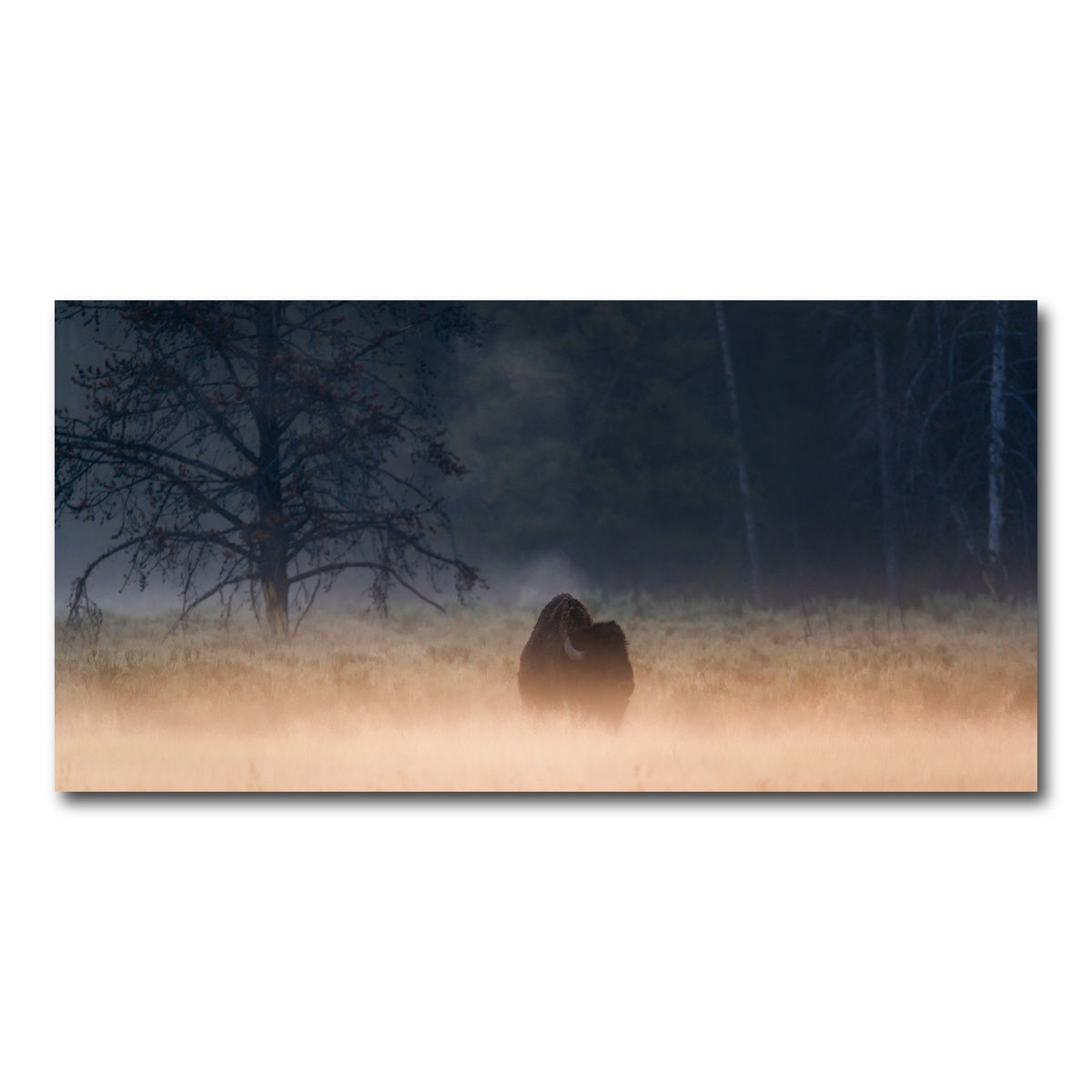 AUTO-MOCKUP WHITE | Foggy Morning | 1 Piece | Gallery Wrap Canvas | group=2x1
