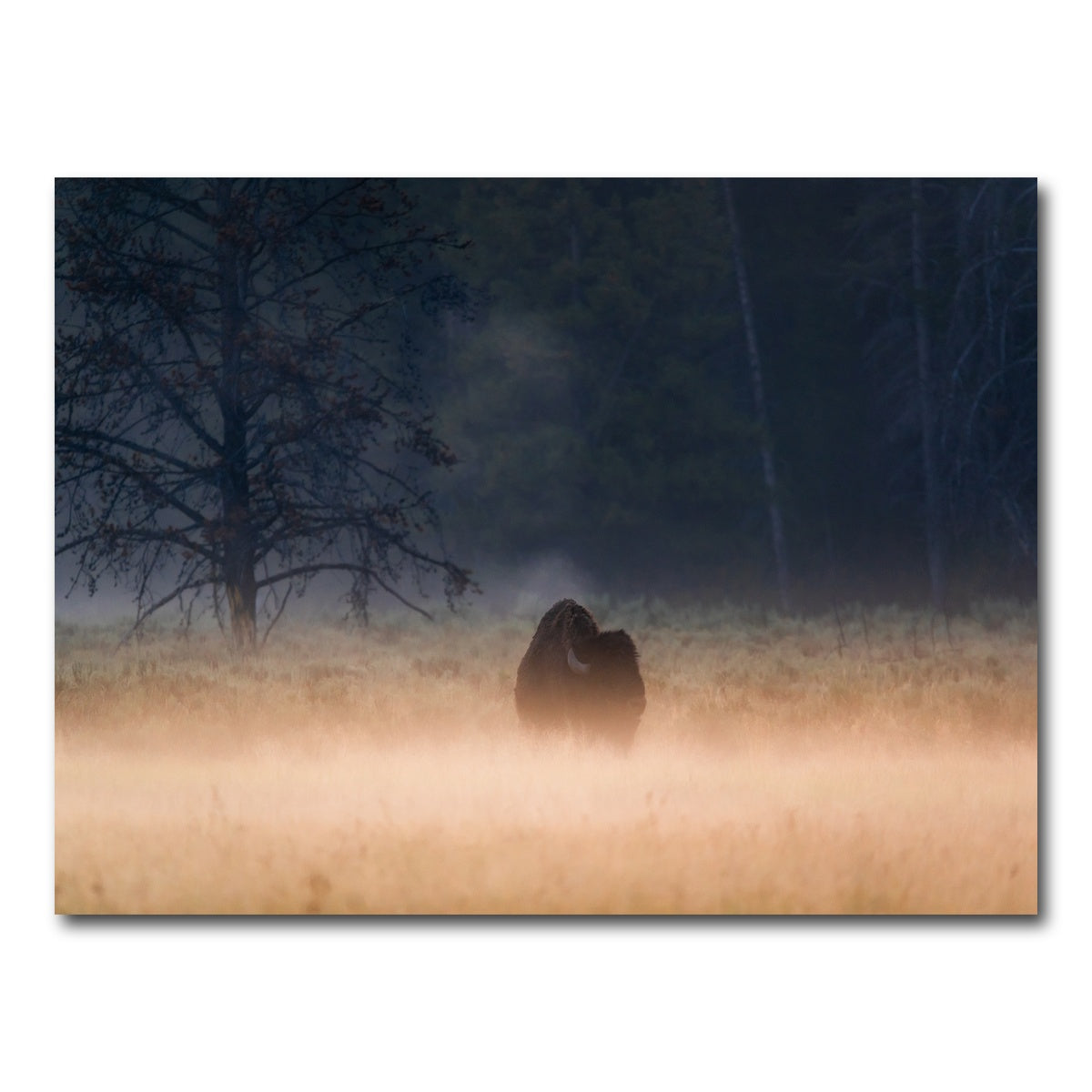 AUTO-MOCKUP WHITE | Foggy Morning | 1 Piece | Gallery Wrap Canvas | group=4x3