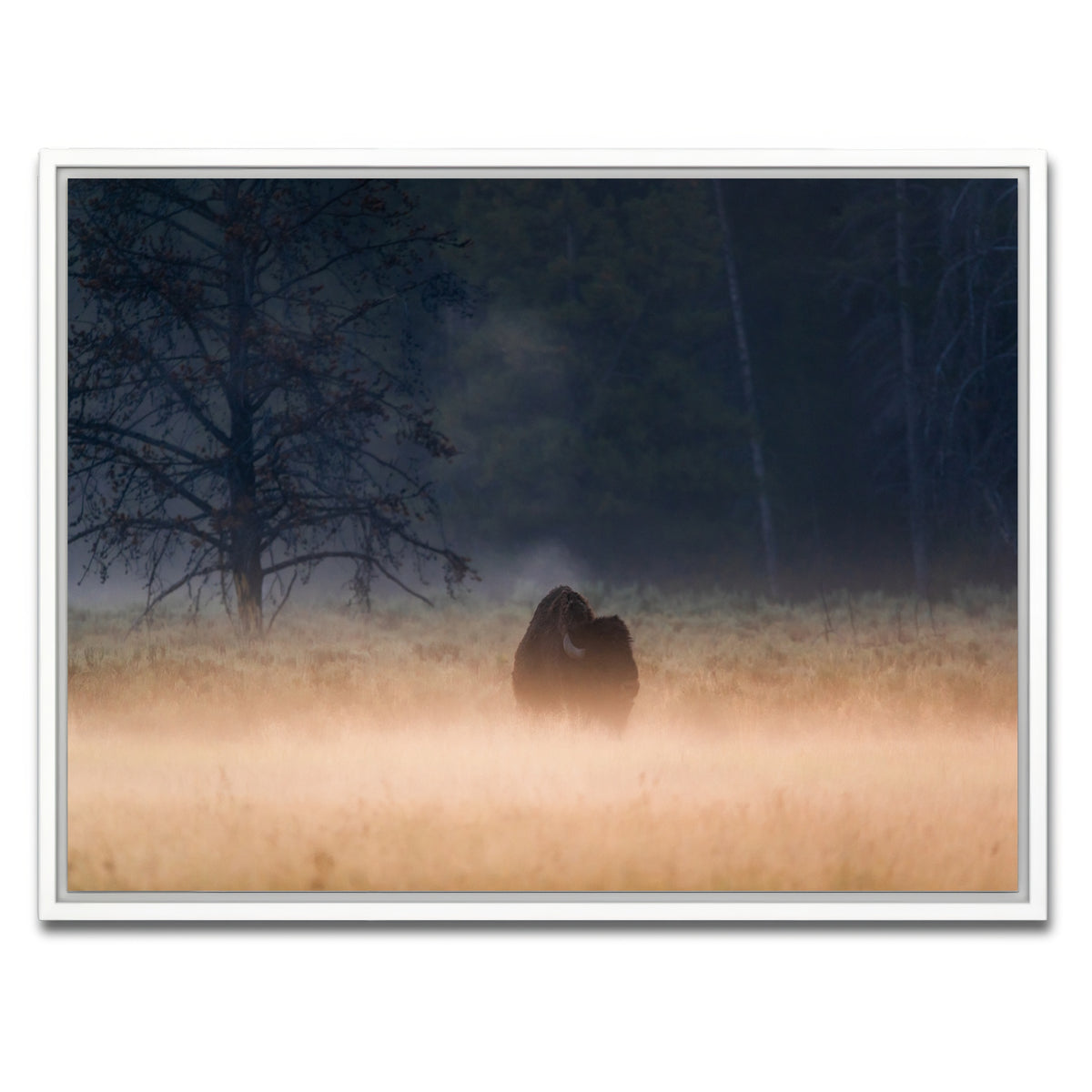 AUTO-MOCKUP WHITE | Foggy Morning | 1 Piece | White Framed Canvas | group=4x3