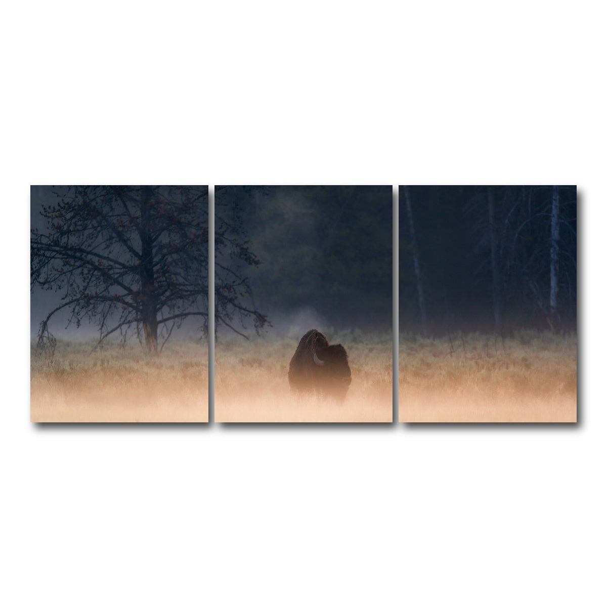 AUTO-MOCKUP WHITE | Foggy Morning | 3 Piece | Gallery Wrap Canvas | group=18x24