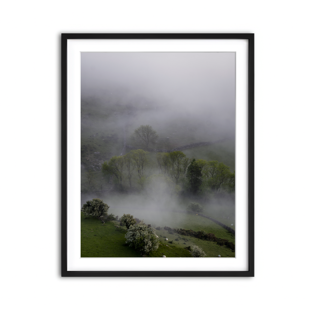 Framed Print 3x4 Black