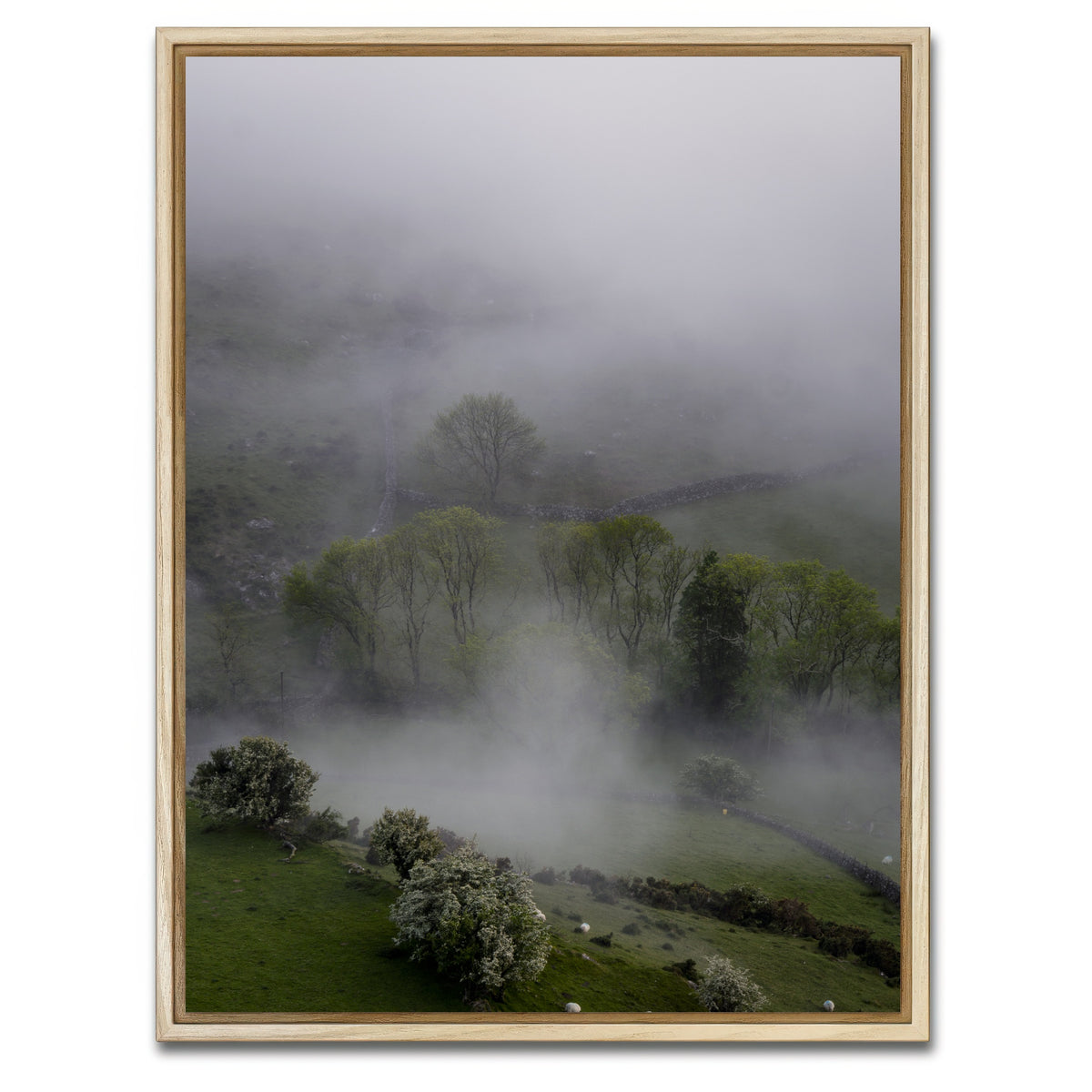 AUTO-MOCKUP WHITE | Foggy Trees | 1 Piece | Natural Framed Canvas | group=3x4