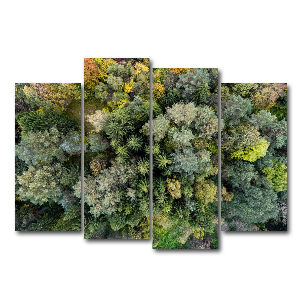 AUTO-MOCKUP WHITE | Forest From Above | 4 Piece | Gallery Wrap Canvas | group=4_normal