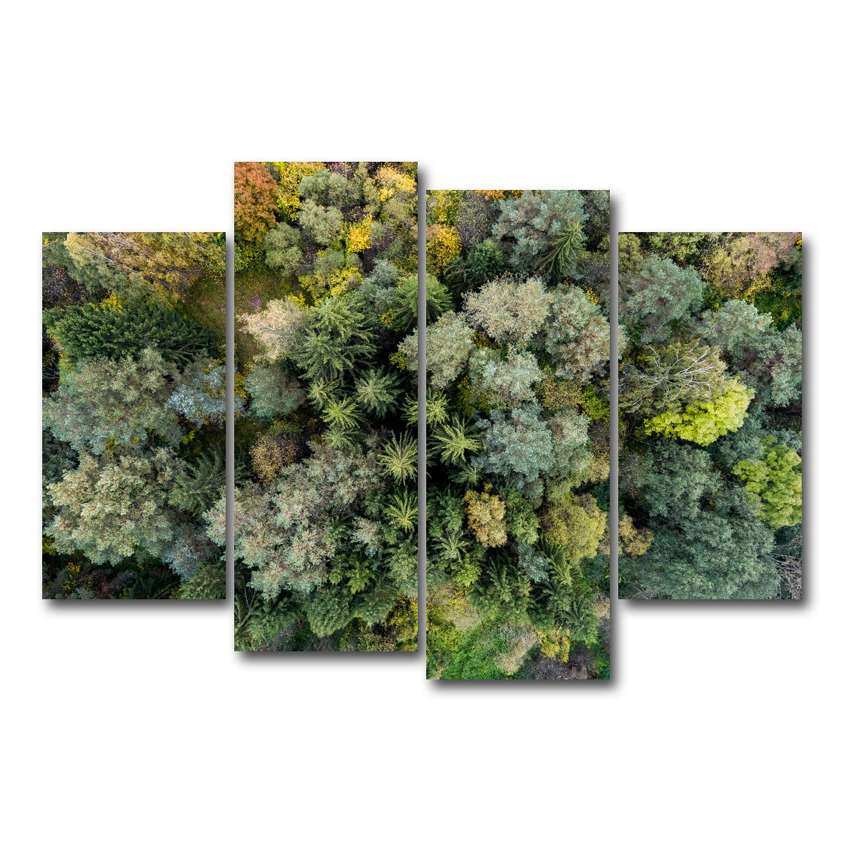 AUTO-MOCKUP WHITE | Forest From Above | 4 Piece | Gallery Wrap Canvas | group=4_short