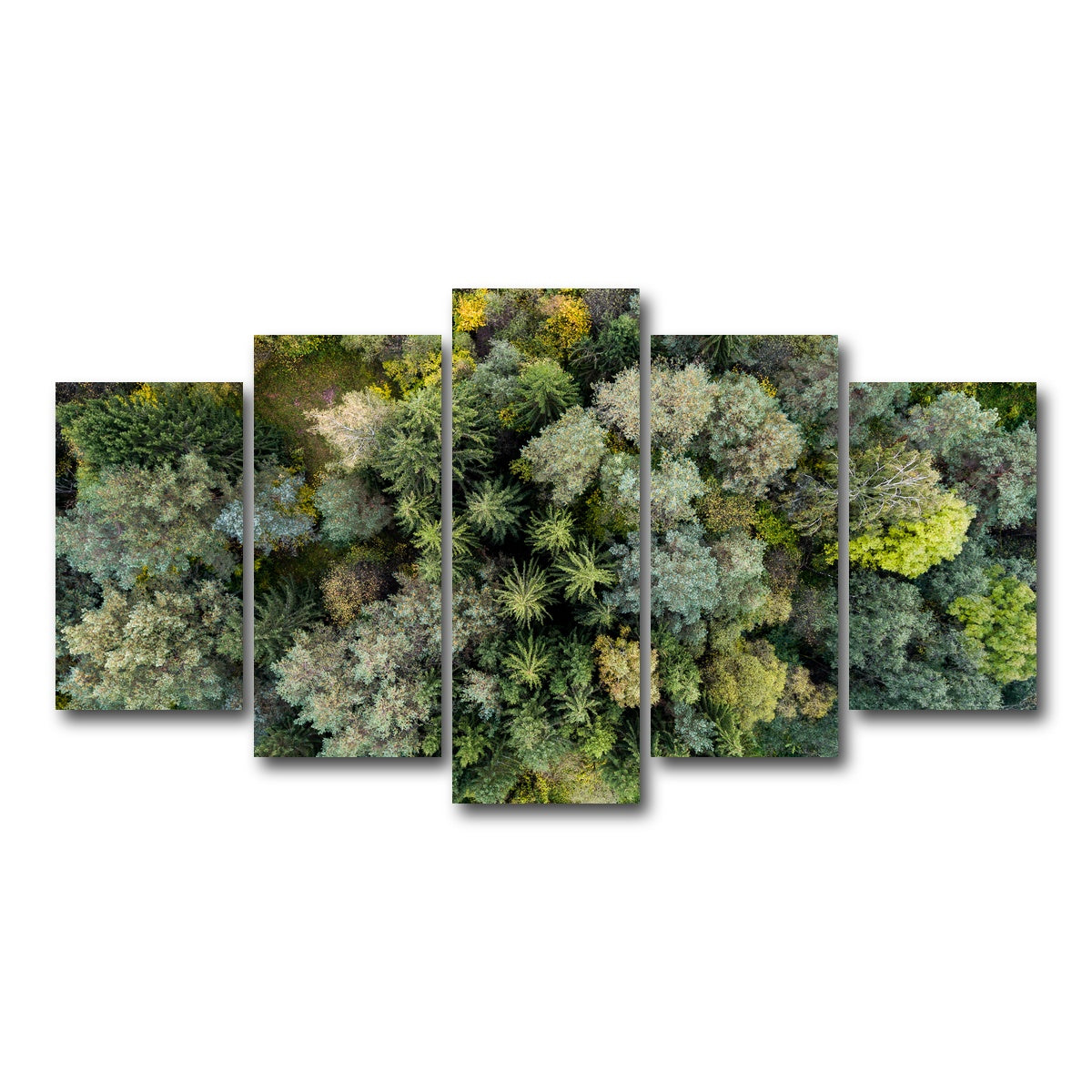 AUTO-MOCKUP WHITE | Forest From Above | 5 Piece | Gallery Wrap Canvas | group=5_normal