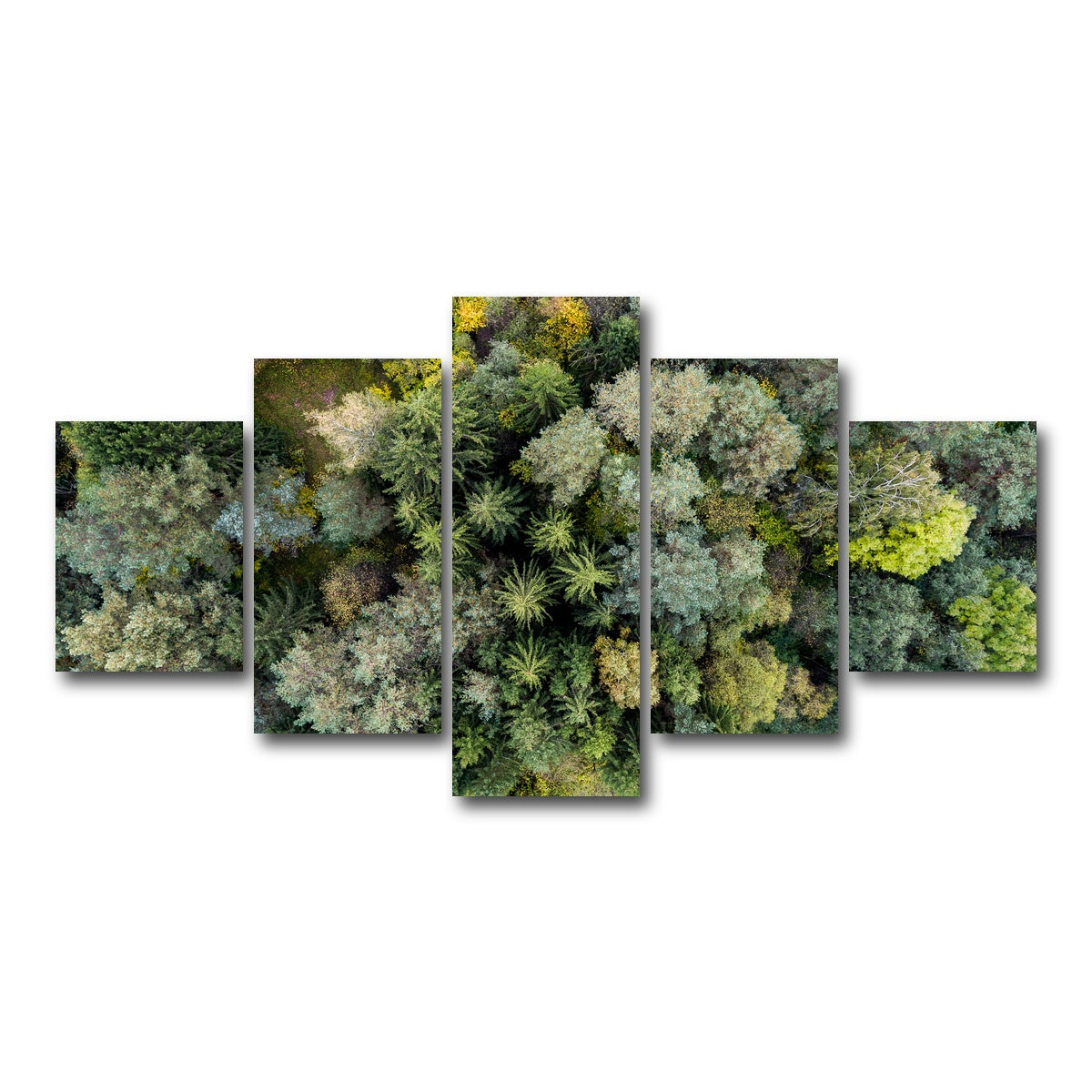 AUTO-MOCKUP WHITE | Forest From Above | 5 Piece | Gallery Wrap Canvas | group=5_short