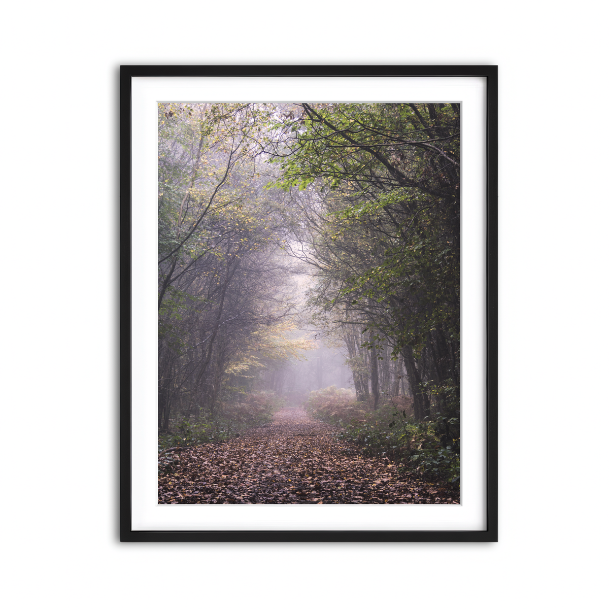 Framed Print 3x4 Black