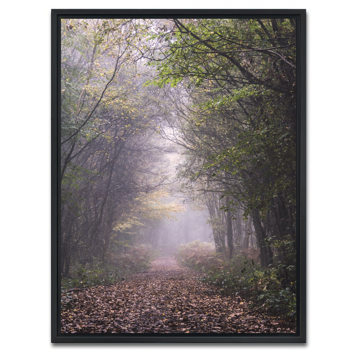 AUTO-MOCKUP WHITE | Forest Path | 1 Piece | Black Framed Canvas | group=3x4