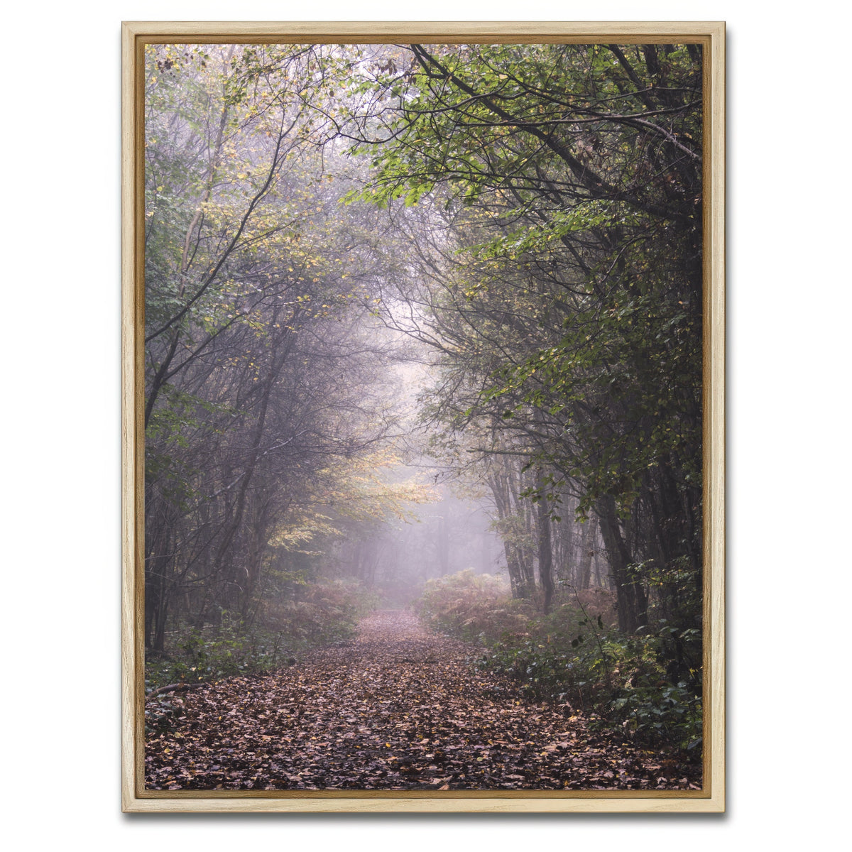 AUTO-MOCKUP WHITE | Forest Path | 1 Piece | Natural Framed Canvas | group=3x4