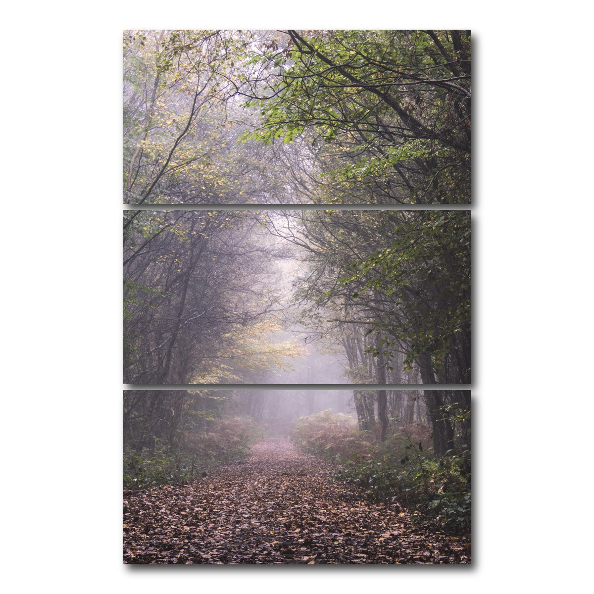 AUTO-MOCKUP WHITE | Forest Path | 3 Piece | Gallery Wrap Canvas | group=12x24_stacked