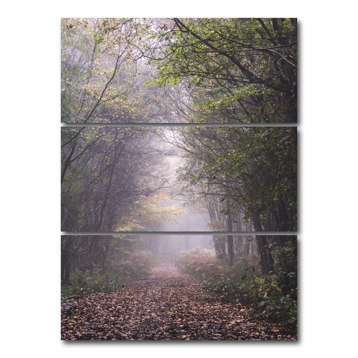 AUTO-MOCKUP WHITE | Forest Path | 3 Piece | Gallery Wrap Canvas | group=8x18_stacked