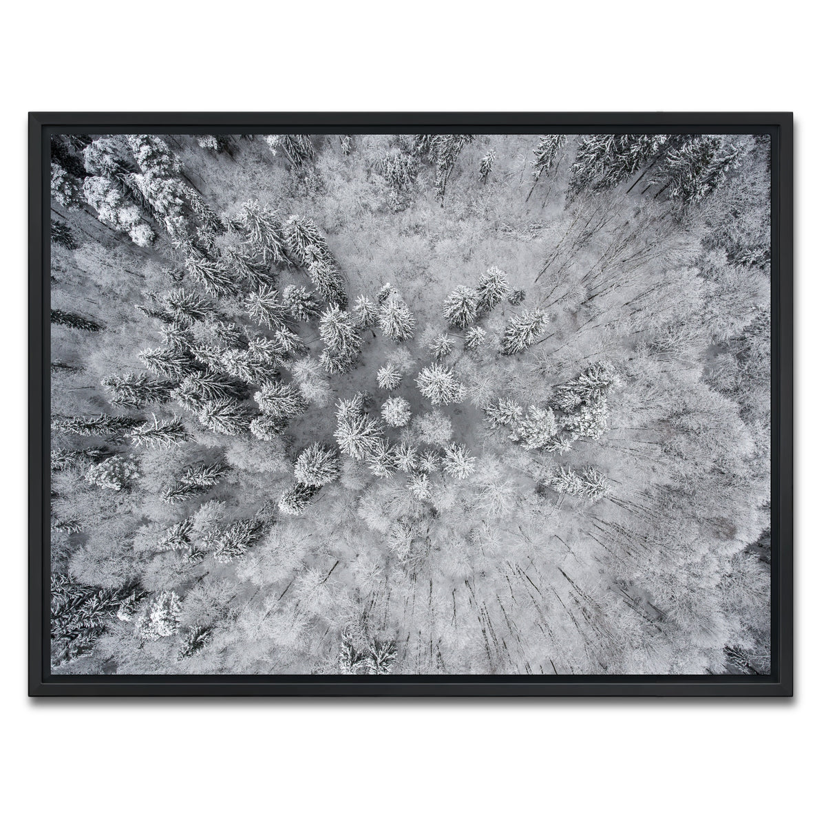 AUTO-MOCKUP WHITE | Forest Snow | 1 Piece | Black Framed Canvas | group=4x3