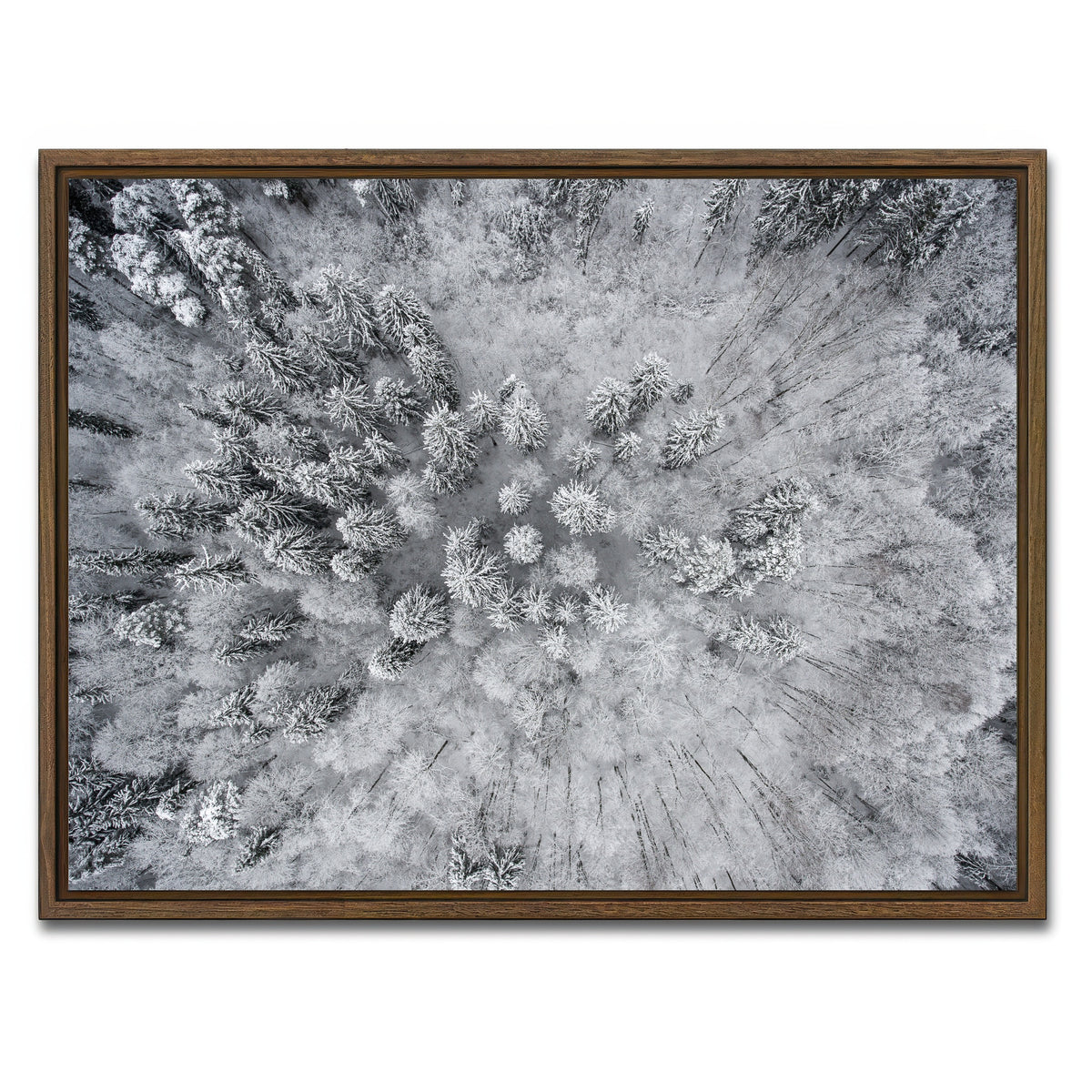 AUTO-MOCKUP WHITE | Forest Snow | 1 Piece | Walnut Framed Canvas | group=4x3
