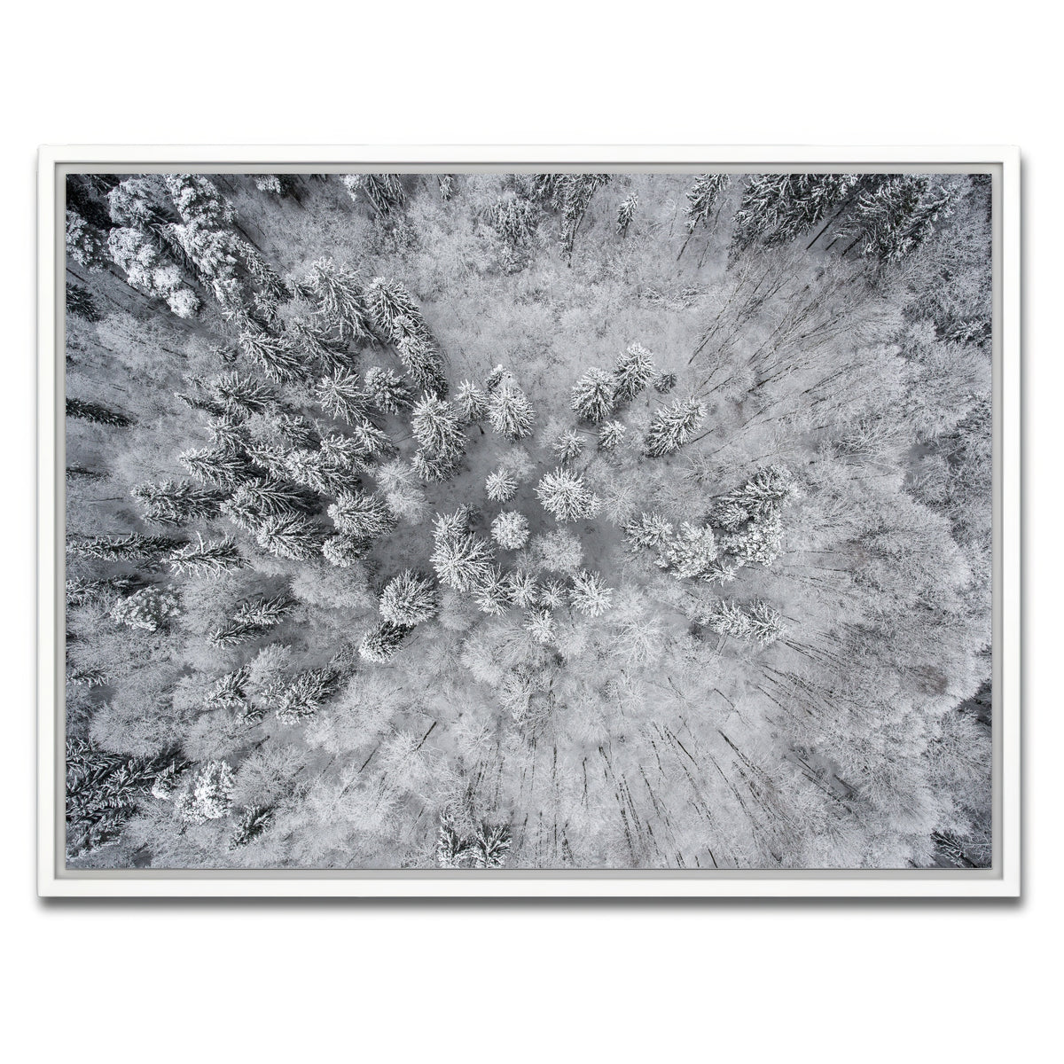 AUTO-MOCKUP WHITE | Forest Snow | 1 Piece | White Framed Canvas | group=4x3
