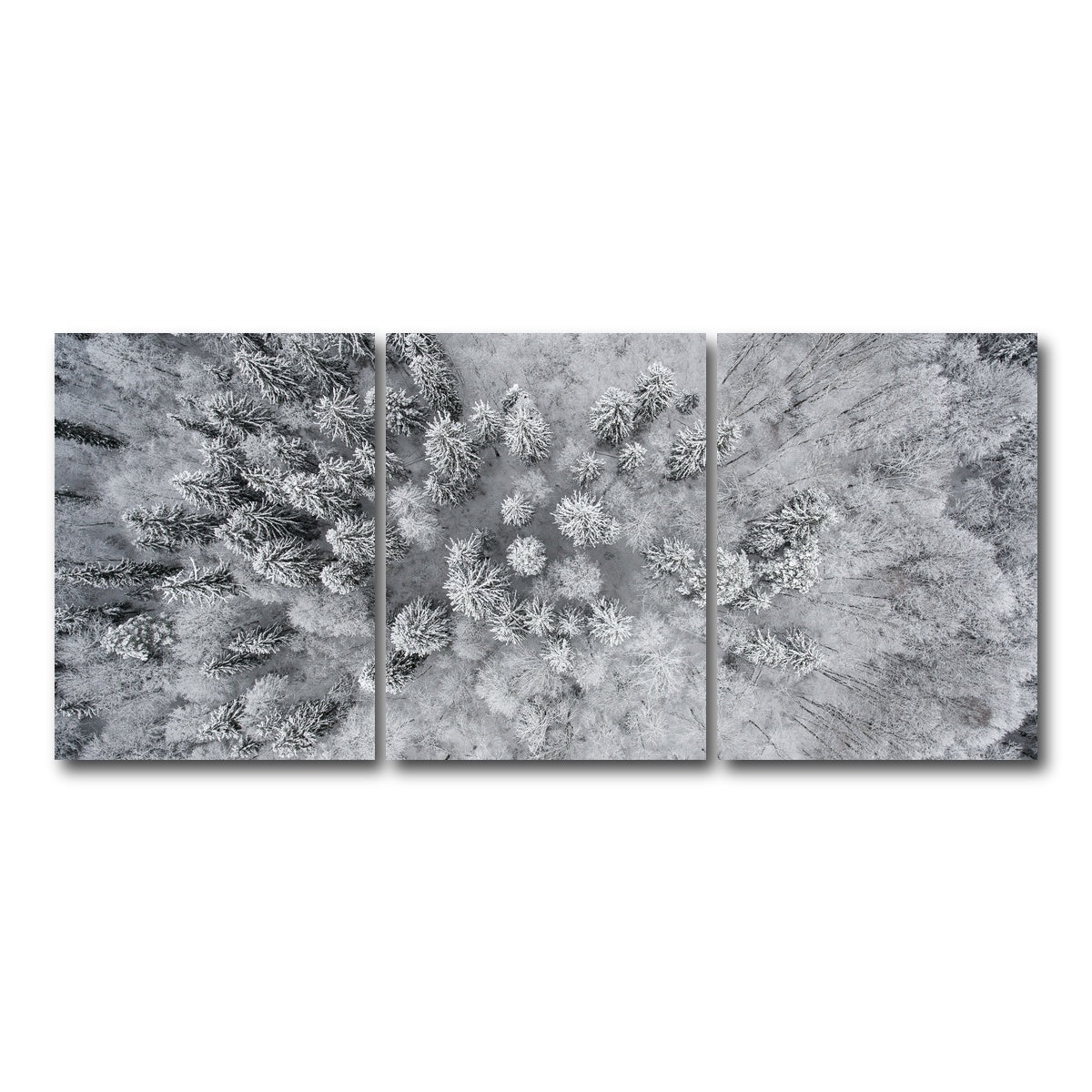 AUTO-MOCKUP WHITE | Forest Snow | 3 Piece | Gallery Wrap Canvas | group=18x24