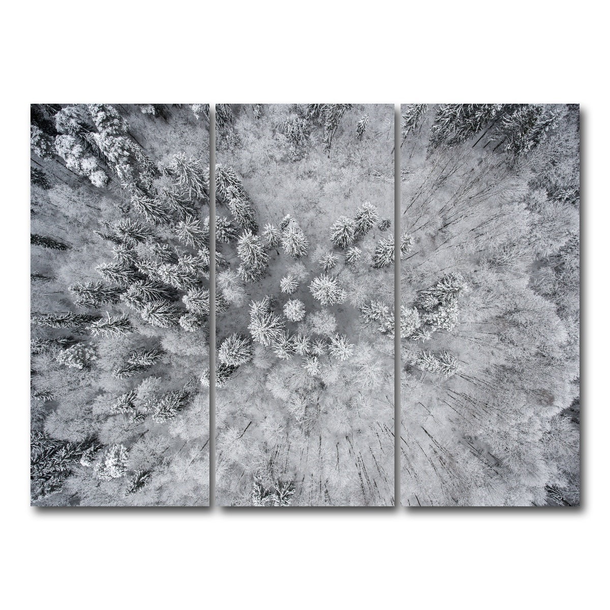 AUTO-MOCKUP WHITE | Forest Snow | 3 Piece | Gallery Wrap Canvas | group=8x18