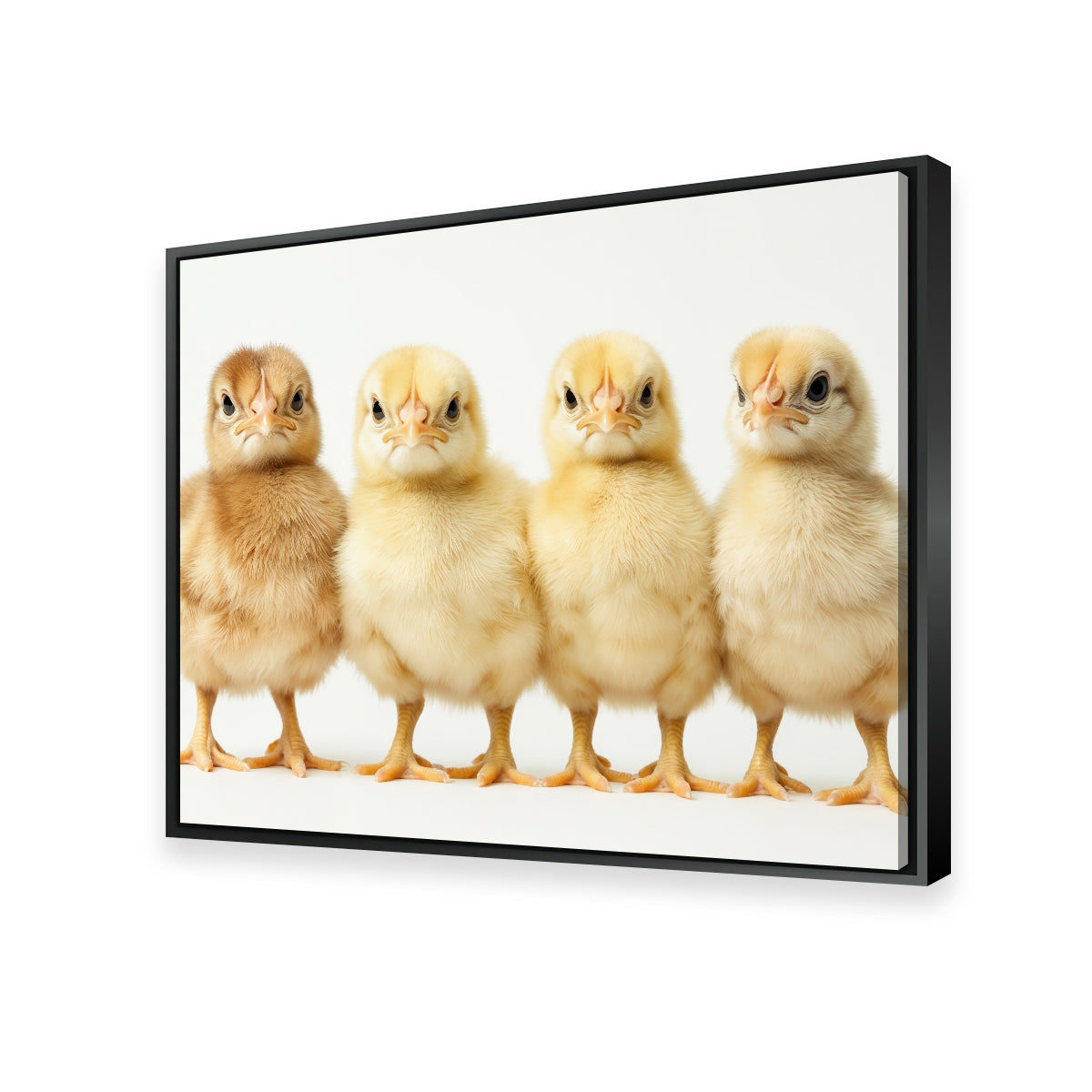 Four Baby Chickens Wall Art