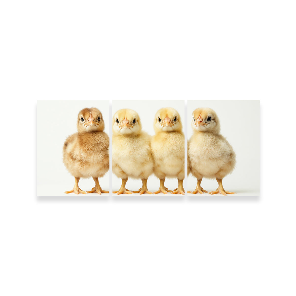 Four Baby Chickens Wall Art