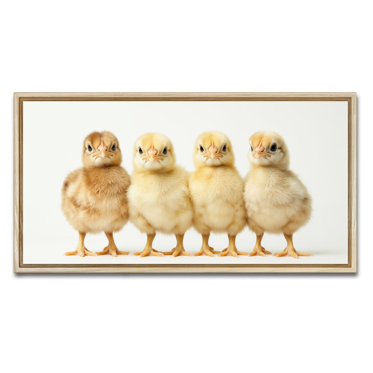 AUTO-MOCKUP WHITE | Four Baby Chickens | 1 Piece | Natural Framed Canvas | group=2x1