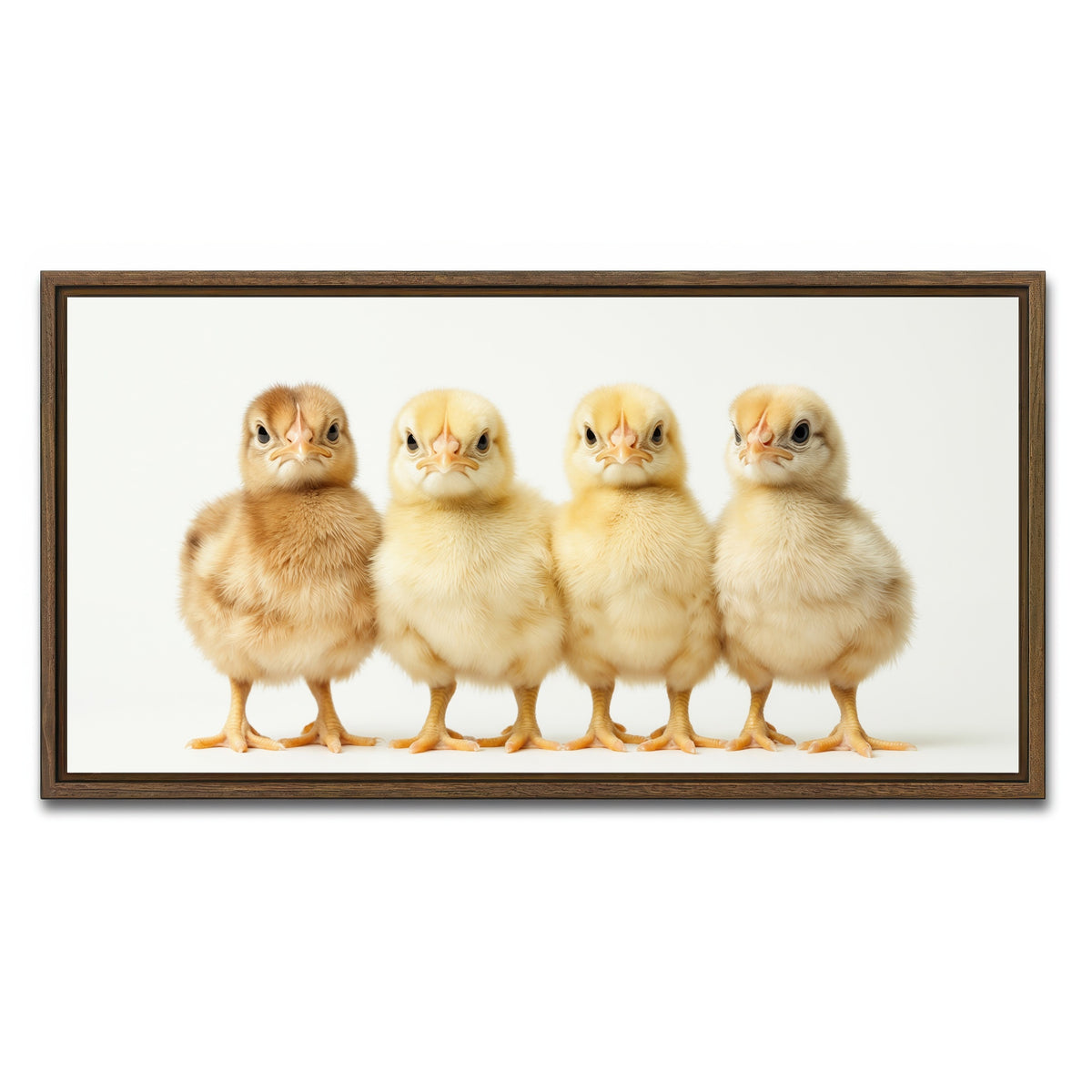AUTO-MOCKUP WHITE | Four Baby Chickens | 1 Piece | Walnut Framed Canvas | group=2x1
