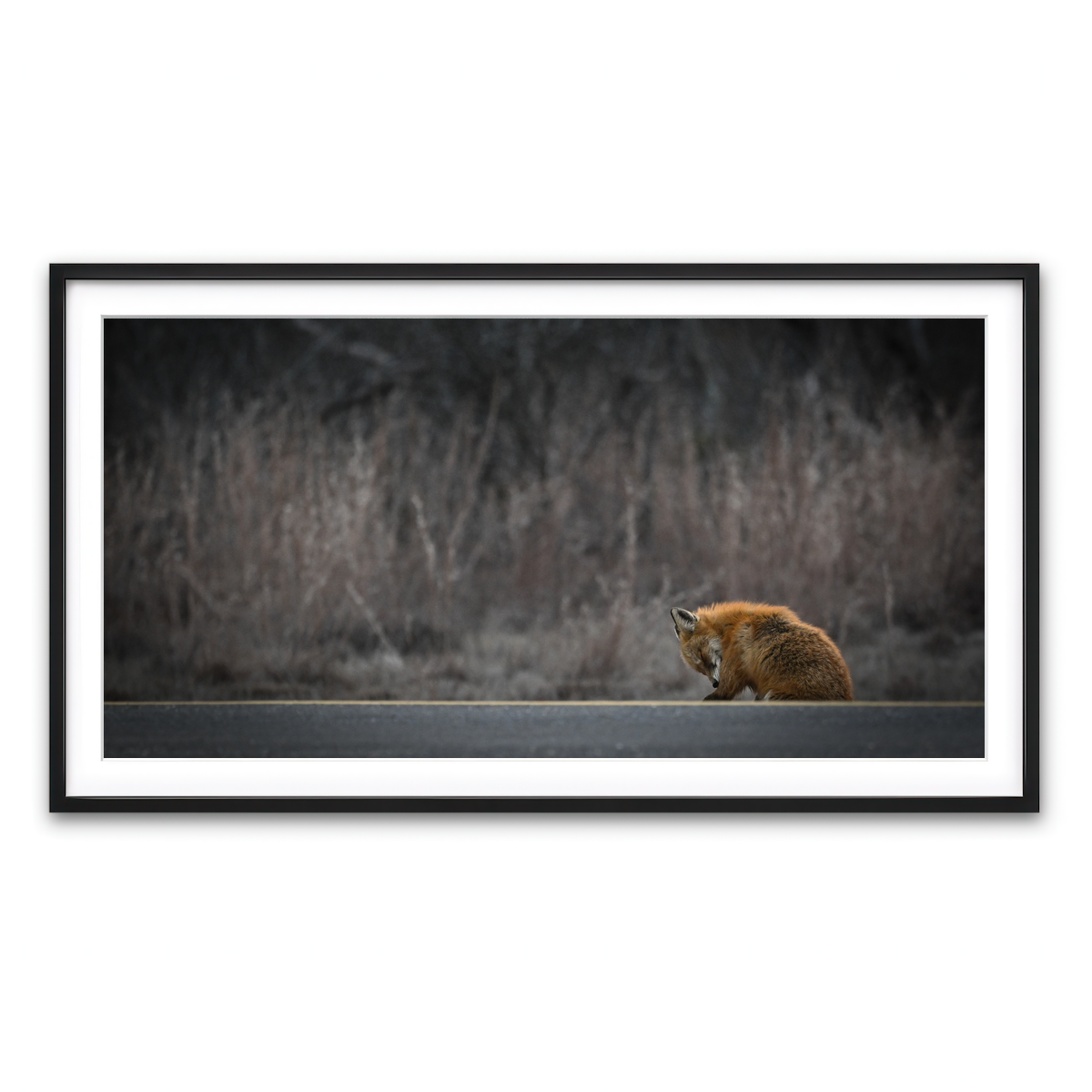 Framed Print 2x1 Black