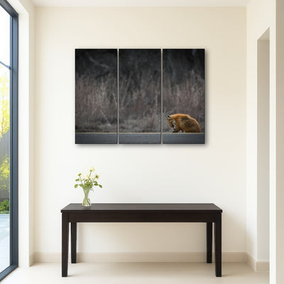 AUTO-MOCKUP ROOM | Fox Road