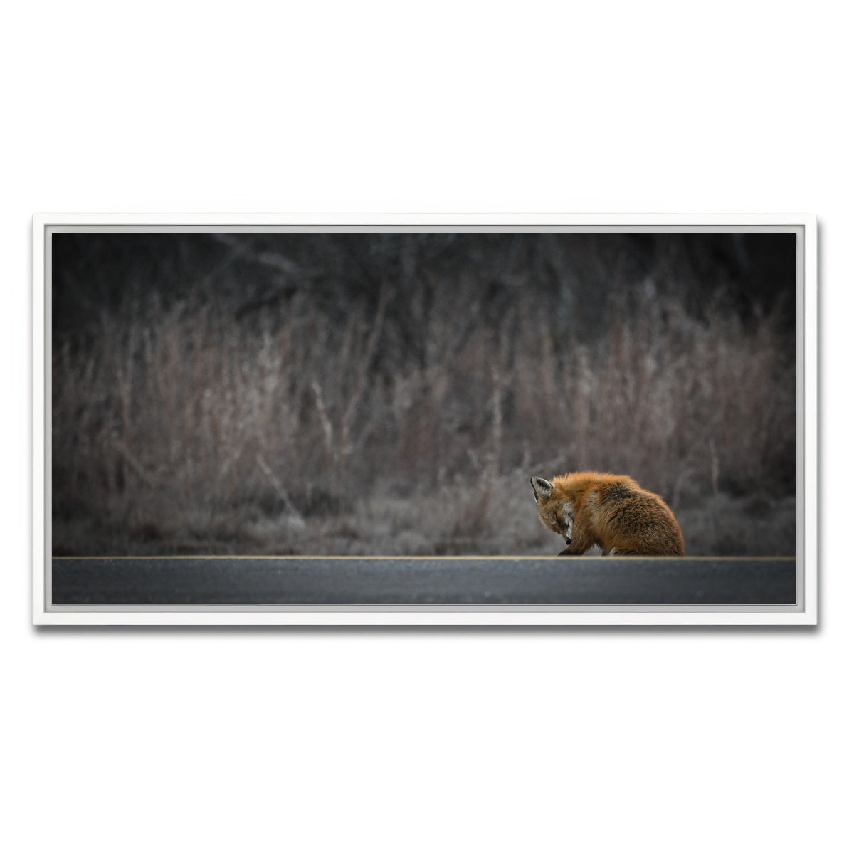 AUTO-MOCKUP WHITE | Fox Road | 1 Piece | White Framed Canvas | group=2x1