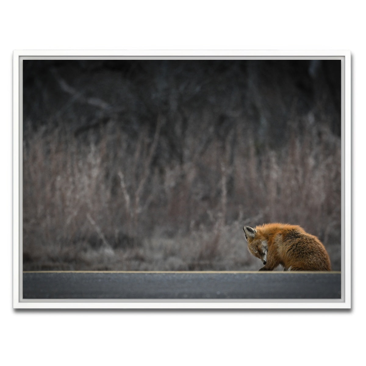 AUTO-MOCKUP WHITE | Fox Road | 1 Piece | White Framed Canvas | group=4x3