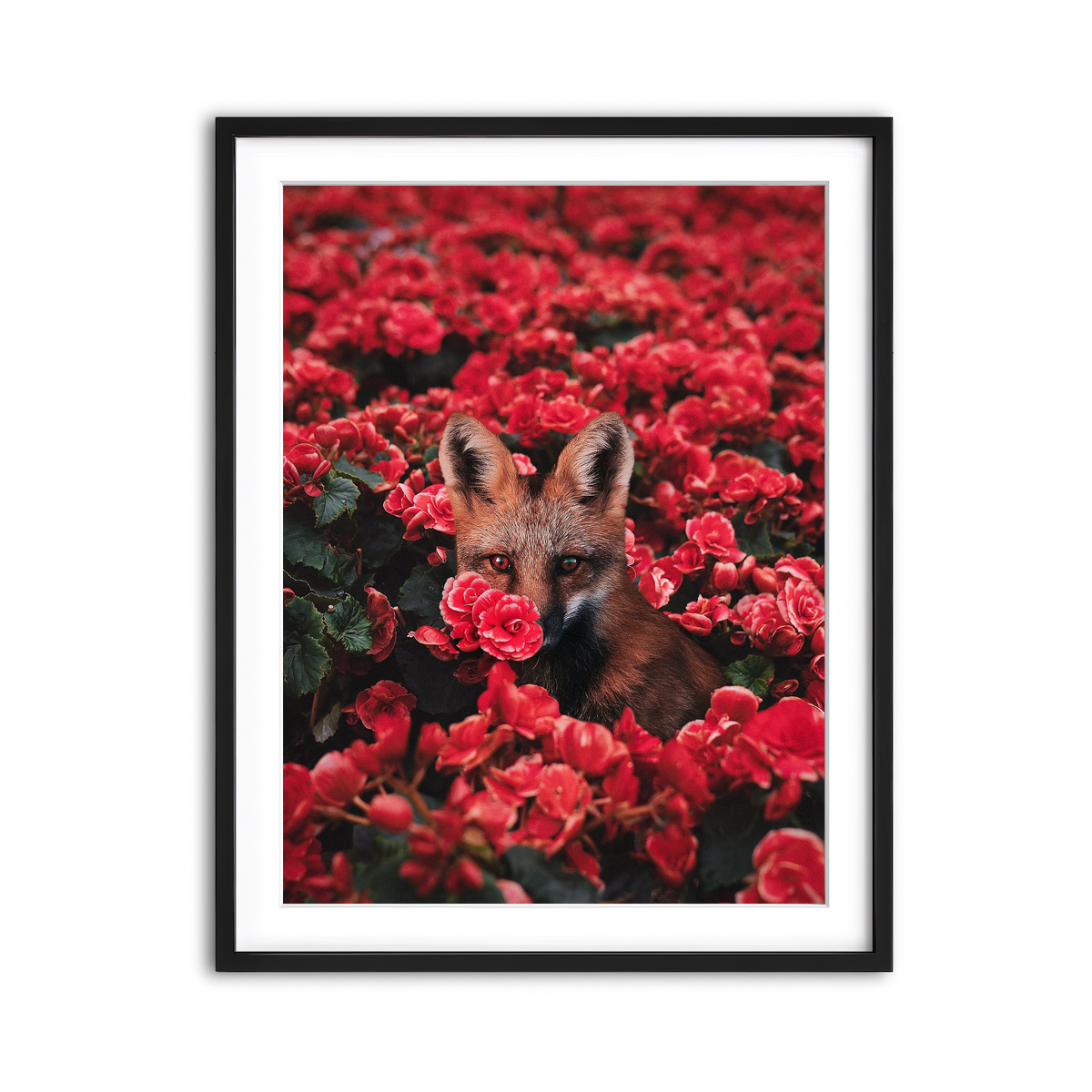 Framed Print 3x4 Black