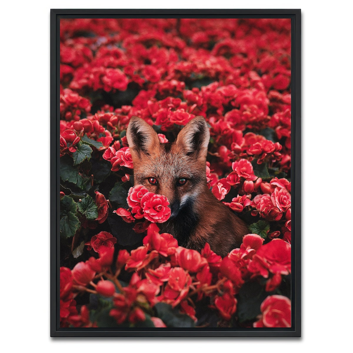 AUTO-MOCKUP WHITE | Fox and Flowers | 1 Piece | Black Framed Canvas | group=3x4