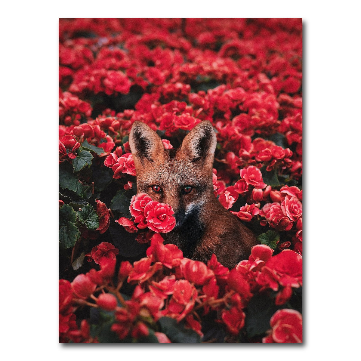 AUTO-MOCKUP WHITE | Fox and Flowers | 1 Piece | Gallery Wrap Canvas | group=3x4