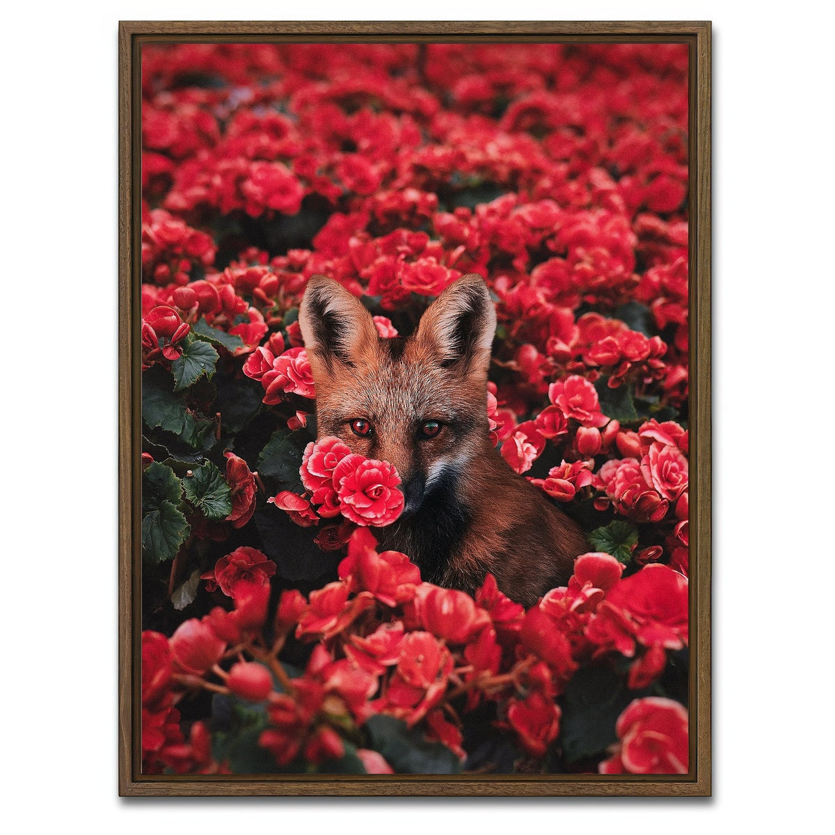 AUTO-MOCKUP WHITE | Fox and Flowers | 1 Piece | Walnut Framed Canvas | group=3x4