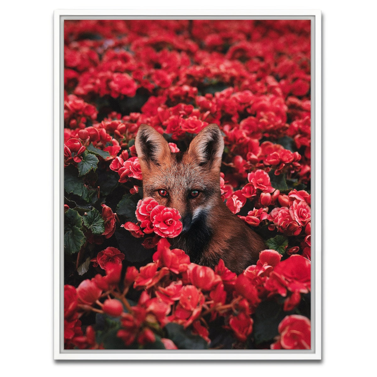 AUTO-MOCKUP WHITE | Fox and Flowers | 1 Piece | White Framed Canvas | group=3x4