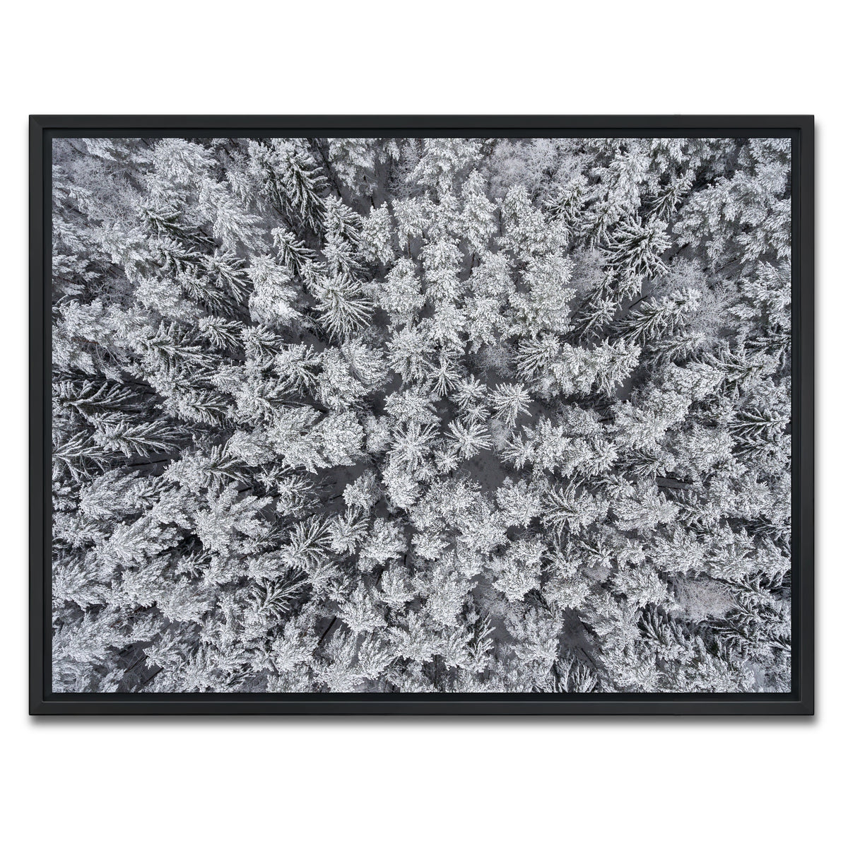 AUTO-MOCKUP WHITE | Frosted Tips | 1 Piece | Black Framed Canvas | group=4x3