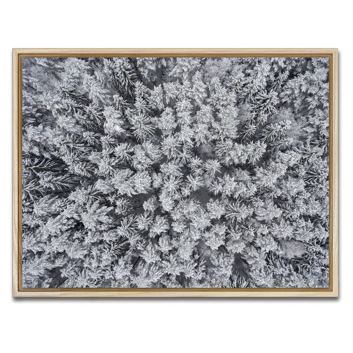 AUTO-MOCKUP WHITE | Frosted Tips | 1 Piece | Natural Framed Canvas | group=4x3